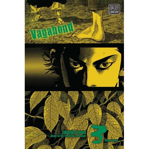 Vagabond (Vizbig Edition), Vol. 3
