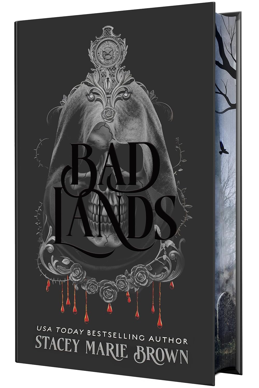 Bad Lands (The Savage Lands Series) Stacey Marie Brown Hardcover