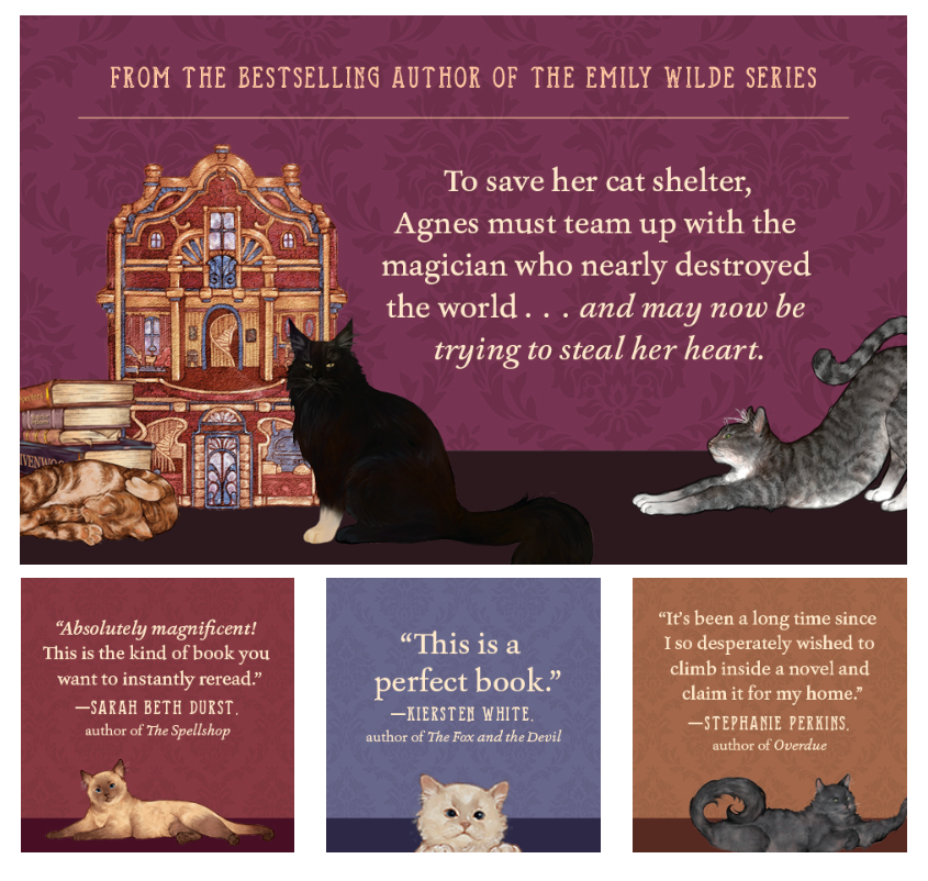 Agnes Aubert’s Mystical Cat Shelter - Hardcover - New