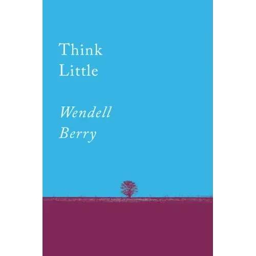 Think Little: Essays